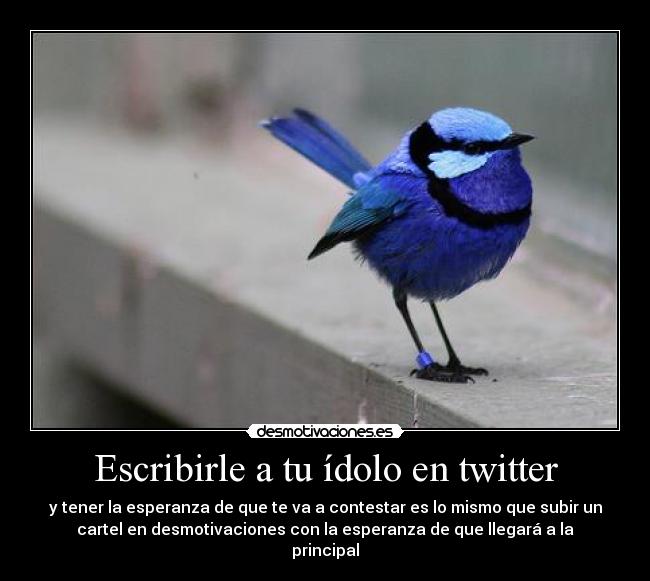 Escribirle a tu ídolo en twitter -