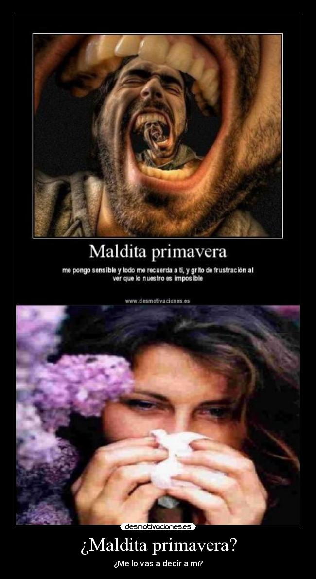 ¿Maldita primavera? - ¿Me lo vas a decir a mí?