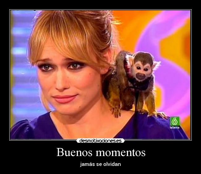 carteles que hicisteis desmotivaciones