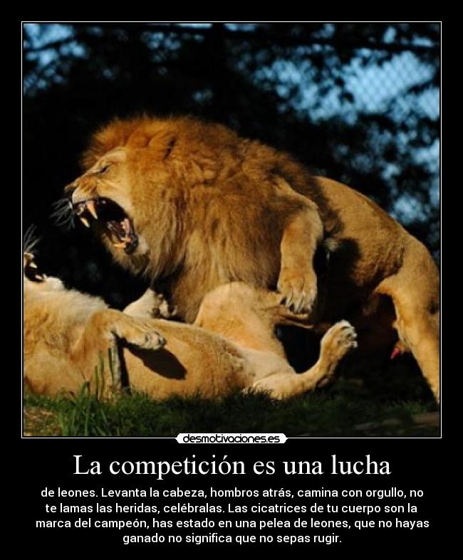 La competición es una lucha - 