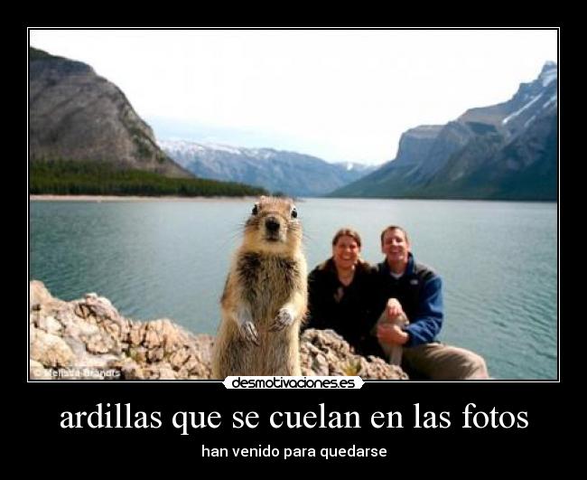 ardillas que se cuelan en las fotos - 