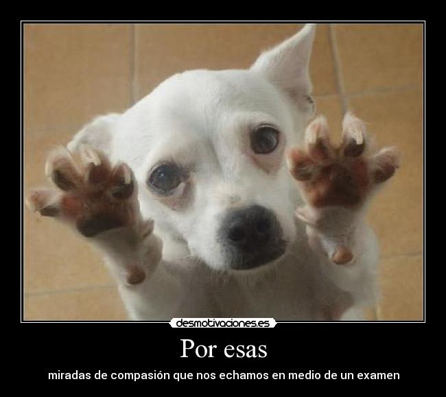 carteles por esas desmotivaciones