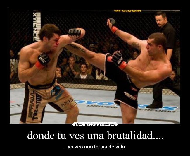 donde tu ves una brutalidad.... - 