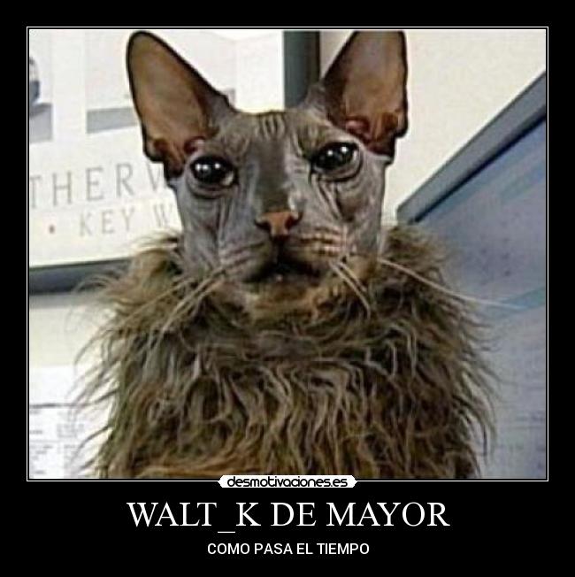 WALT_K DE MAYOR - COMO PASA EL TIEMPO