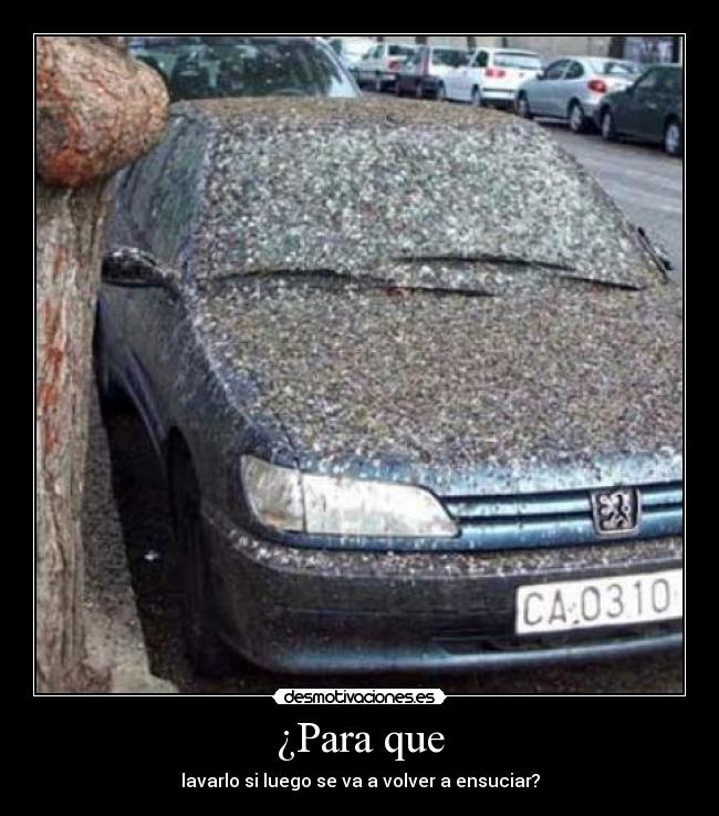 ¿Para que - lavarlo si luego se va a volver a ensuciar?