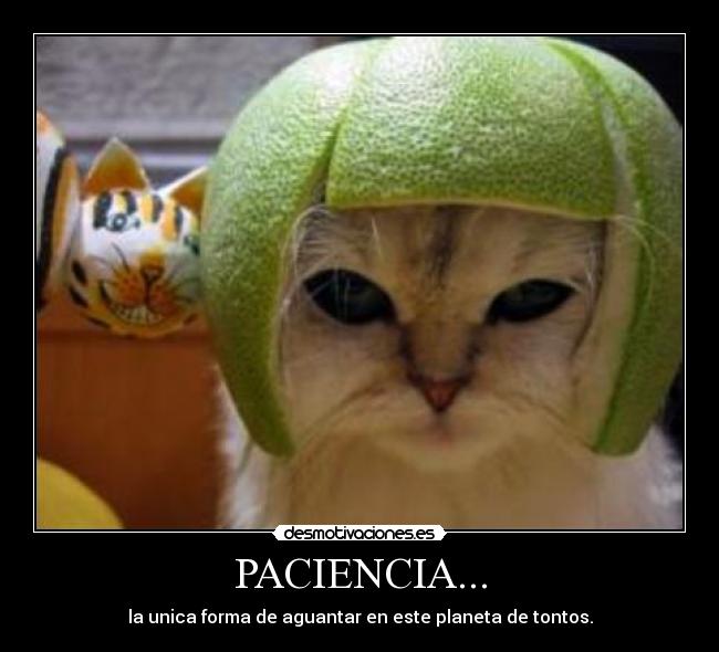 PACIENCIA... - 