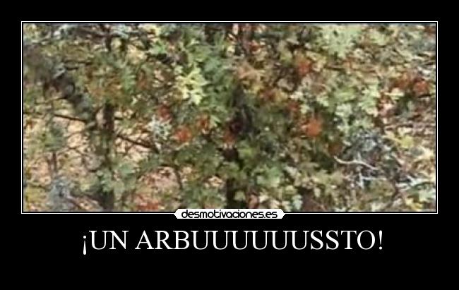 ¡UN ARBUUUUUUSSTO! - 