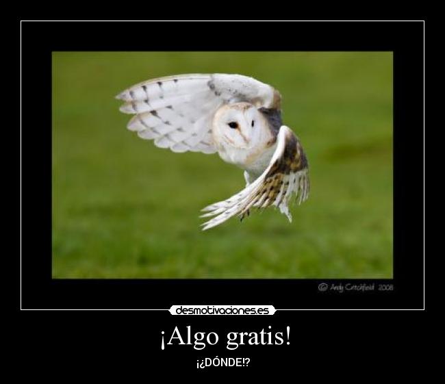 ¡Algo gratis! - ¡¿DÓNDE!?