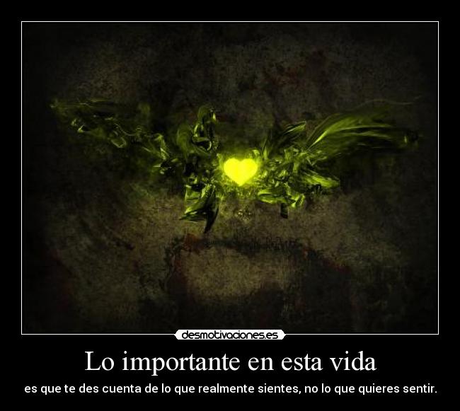 Lo importante en esta vida - es que te des cuenta de lo que realmente sientes, no lo que quieres sentir.