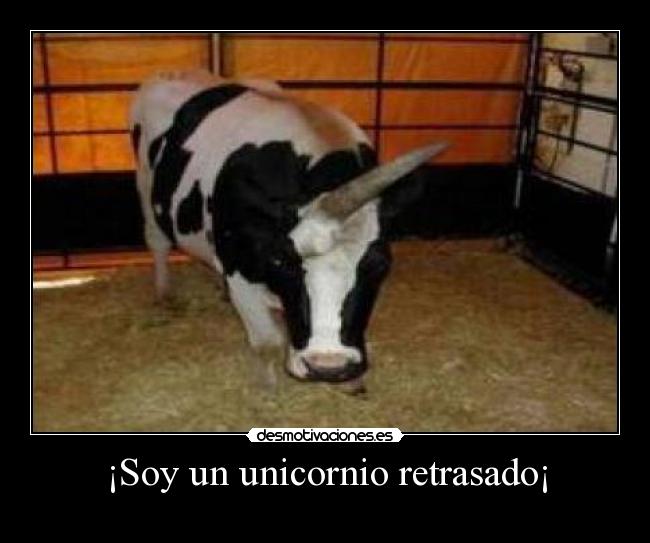 ¡Soy un unicornio retrasado¡ -