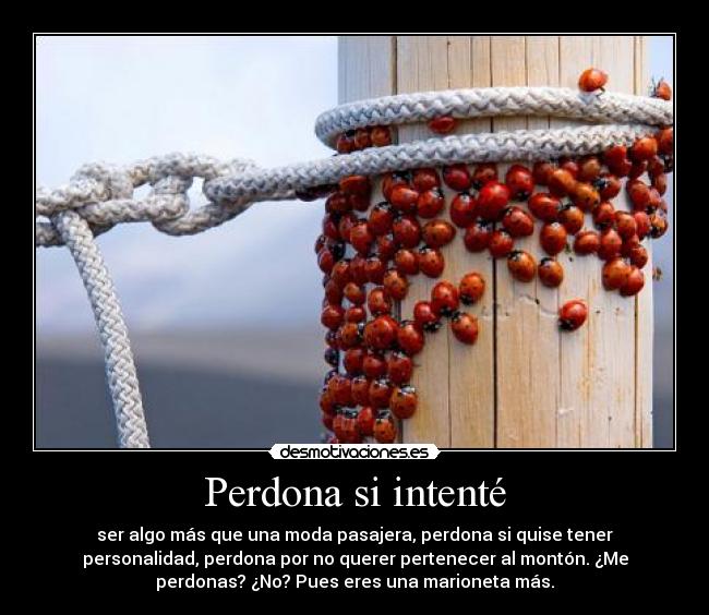 Perdona si intenté - ser algo más que una moda pasajera, perdona si quise tener
personalidad, perdona por no querer pertenecer al montón. ¿Me
perdonas? ¿No? Pues eres una marioneta más.