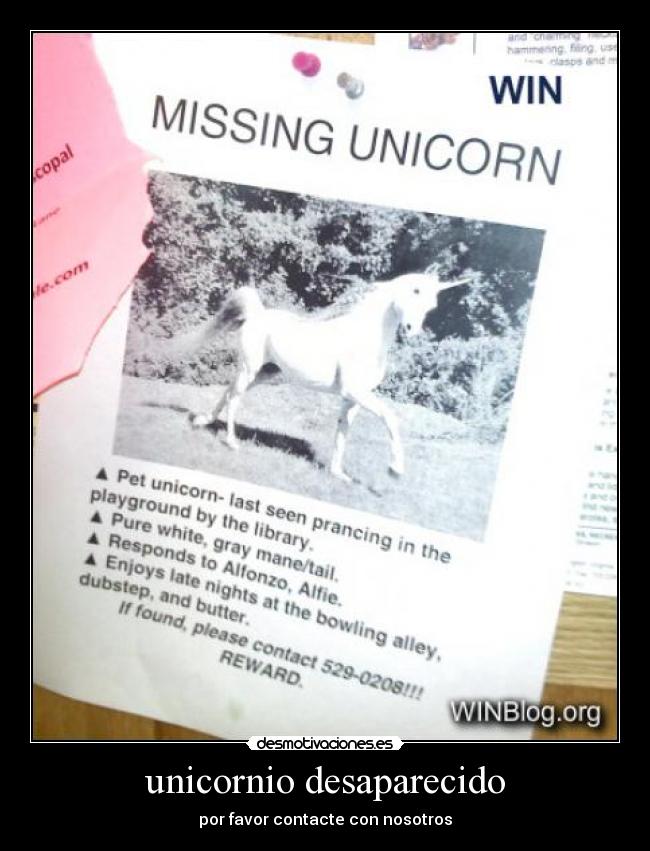 carteles win desmotivaciones