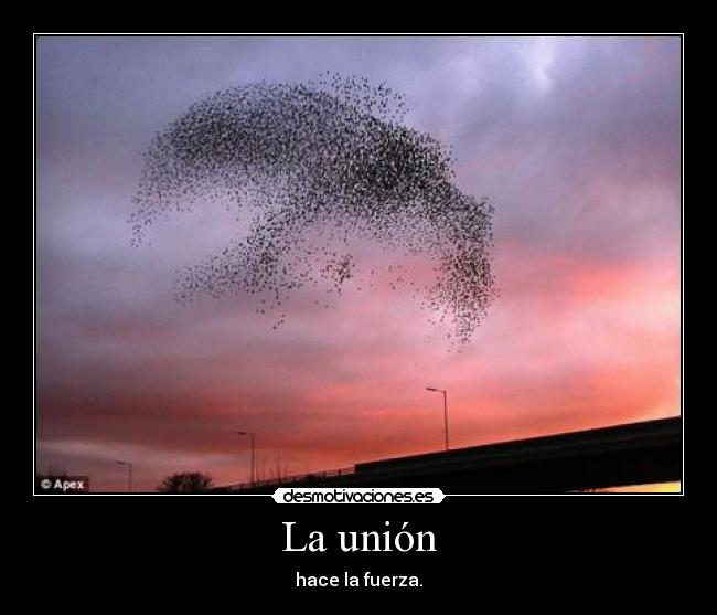 La unión - hace la fuerza.