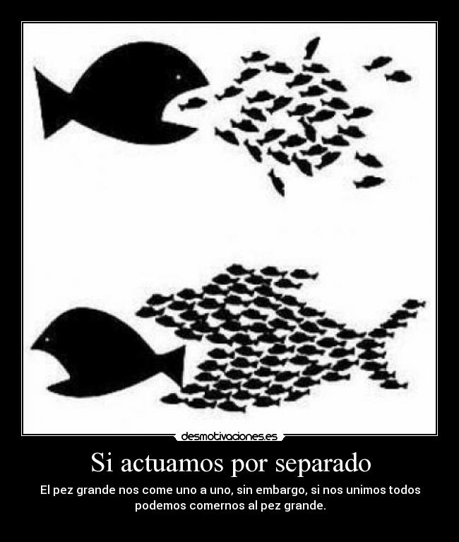 carteles union hace fuerza pez chico pez grande anarkia fuck the system desmotivaciones