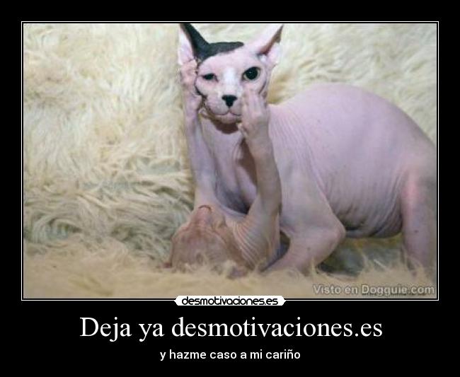 Deja ya desmotivaciones.es - y hazme caso a mi cariño