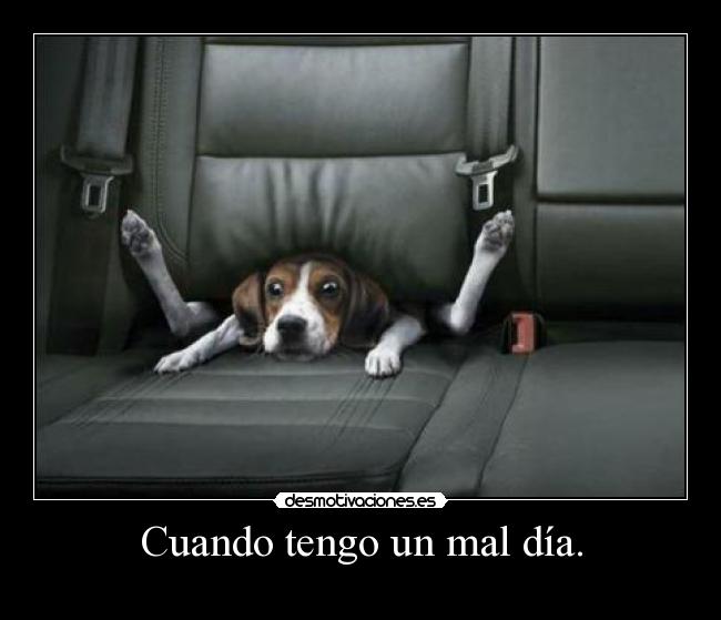 Cuando tengo un mal día. -