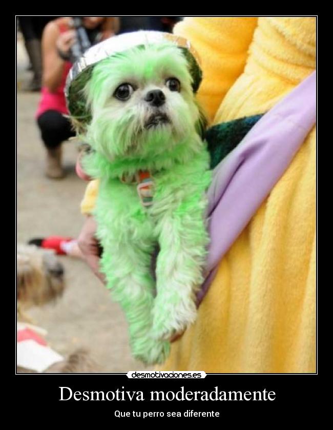 Desmotiva moderadamente - Que tu perro sea diferente