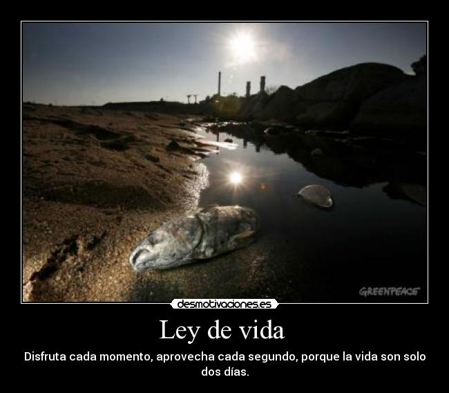 Ley de vida  - Disfruta cada momento, aprovecha cada segundo, porque la vida son solo dos días.
