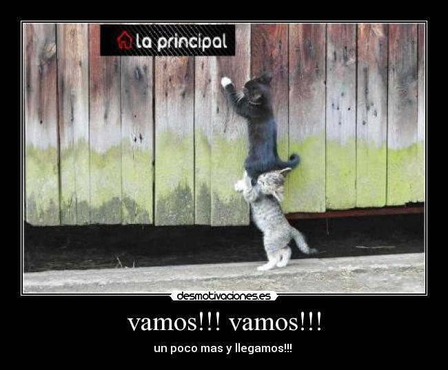vamos!!! vamos!!! - 