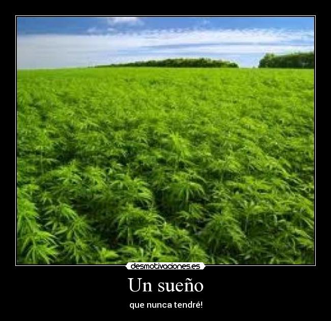 Un sueño -