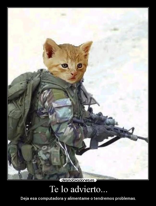 Te lo advierto... -