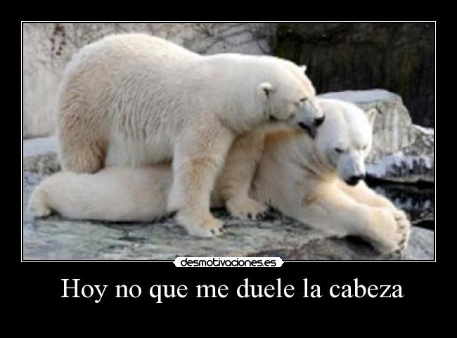 Hoy no que me duele la cabeza -
