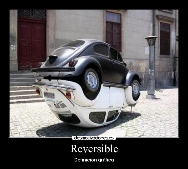 Reversible - Definicion gráfica