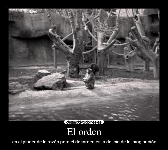 El orden - es el placer de la razón pero el desorden es la delicia de la imaginación