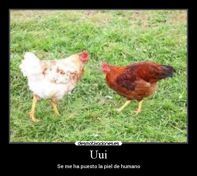 Uui - Se me ha puesto la piel de humano