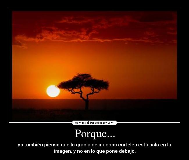 Porque... -