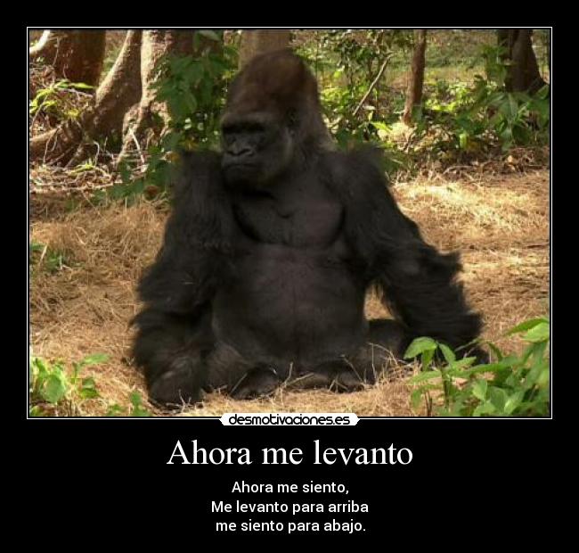 Ahora me levanto - 