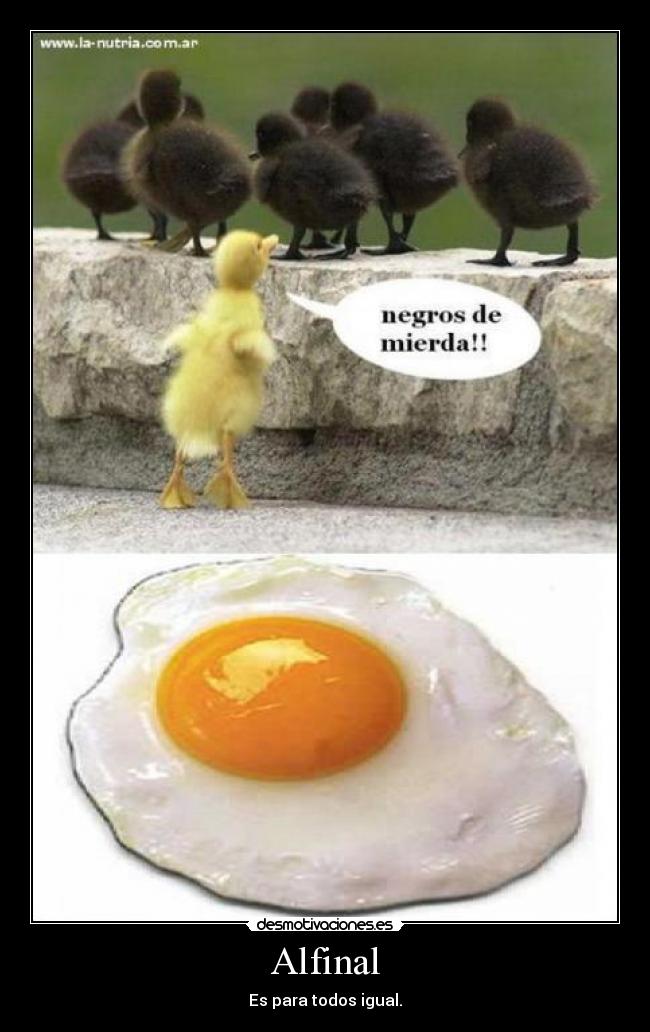 carteles alfinal desmotivaciones