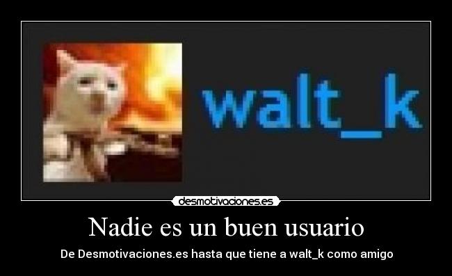 Nadie es un buen usuario - De Desmotivaciones.es hasta que tiene a walt_k como amigo