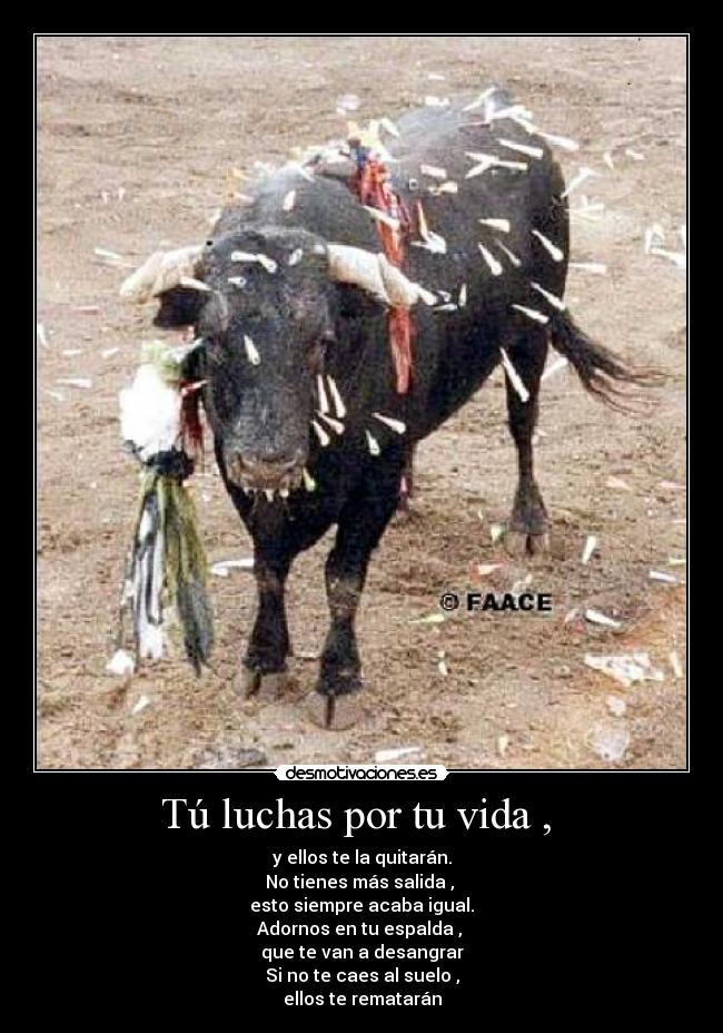 Tú luchas por tu vida , - y ellos te la quitarán.
No tienes más salida ,
esto siempre acaba igual.
Adornos en tu espalda ,
que te van a desangrar
Si no te caes al suelo ,
ellos te rematarán