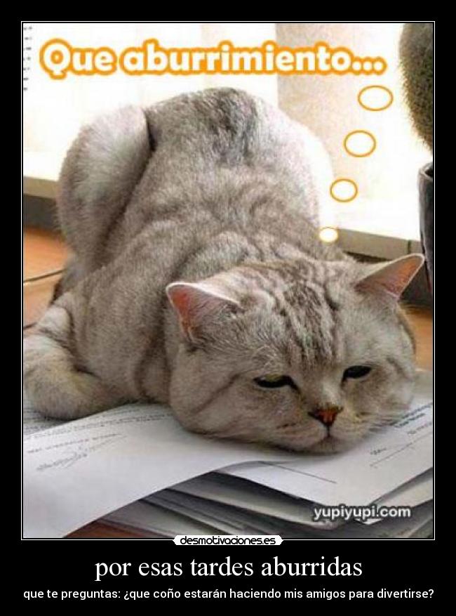 http://img.desmotivaciones.es/201105/uyktujthhy_3.jpg