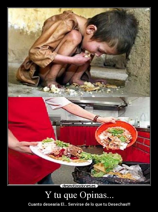 Y tu que Opinas... - Cuanto desearia El... Servirse de lo que tu Desechas!!!