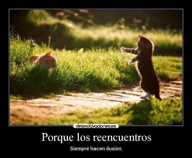 Porque los reencuentros - 