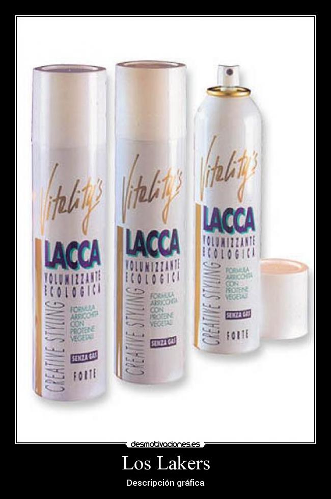 Los Lakers - Descripción gráfica