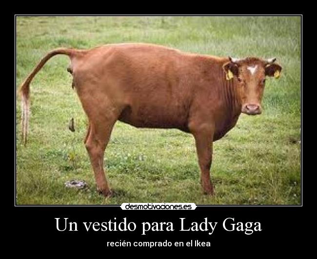 Un vestido para Lady Gaga - 