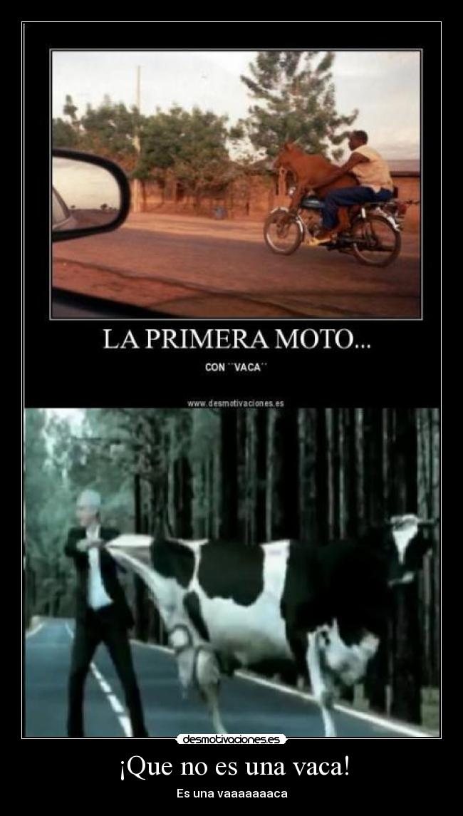 carteles pcl desmotivaciones