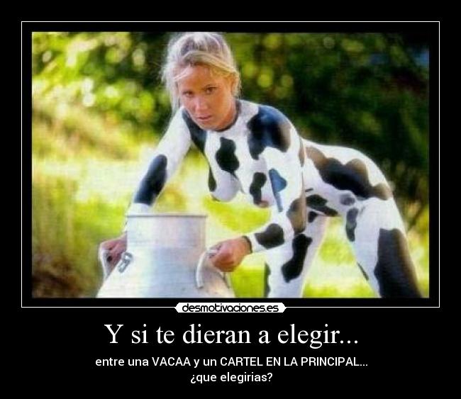 Y si te dieran a elegir... - entre una VACAA y un CARTEL EN LA PRINCIPAL...
¿que elegirias?