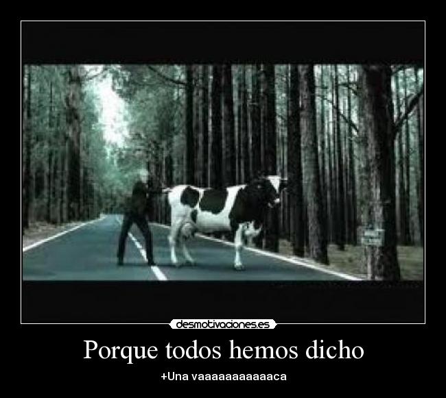 Porque todos hemos dicho -