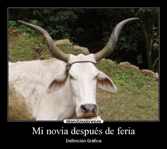 Mi novia después de feria -