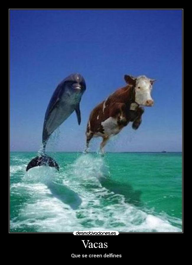Vacas - Que se creen delfines