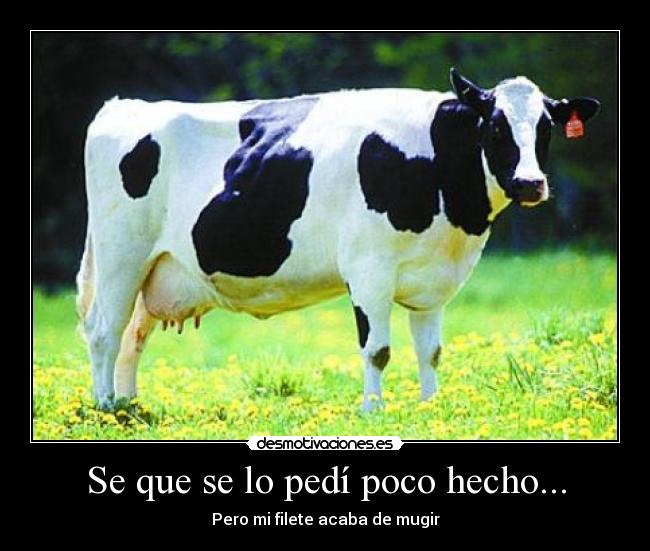 carteles filete poco hecho vaca desmotivaciones