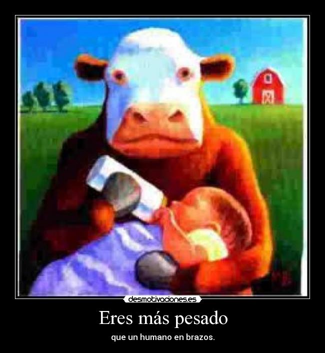 Eres más pesado - que un humano en brazos.