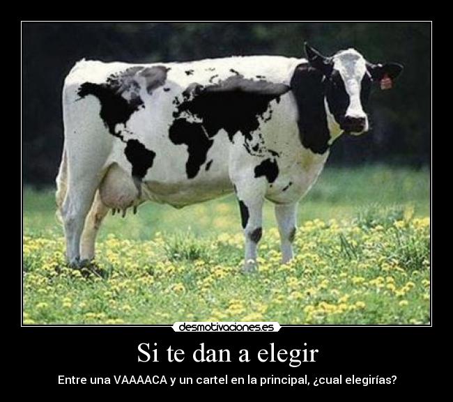 Si te dan a elegir -