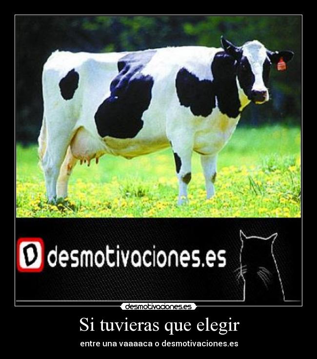 Si tuvieras que elegir - 