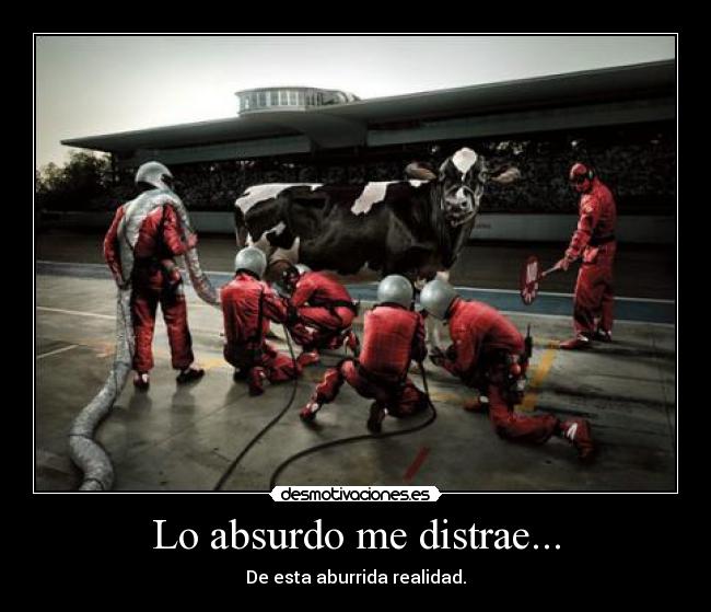 Lo absurdo me distrae... - 