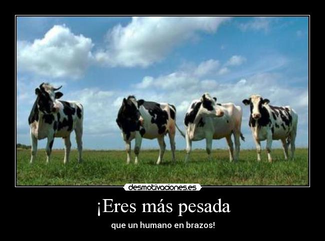 ¡Eres más pesada - 